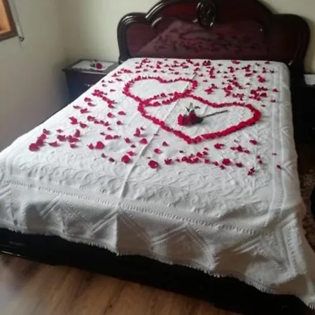 Paradise Property,ideal Ferias Ou Lua De Mel * Albergaria-a-Velha