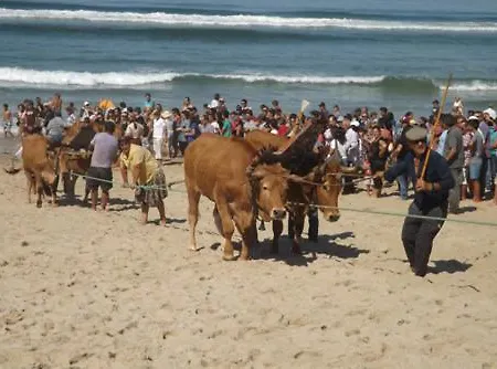 Paradise Property,ideal Ferias Ou Lua De Mel *