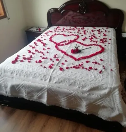 Paradise Property,ideal Ferias Ou Lua De Mel * Albergaria-a-Velha