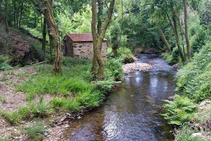 Hébergement de vacances Paradise Property,ideal Ferias Ou Lua De Mel Albergaria-a-Velha