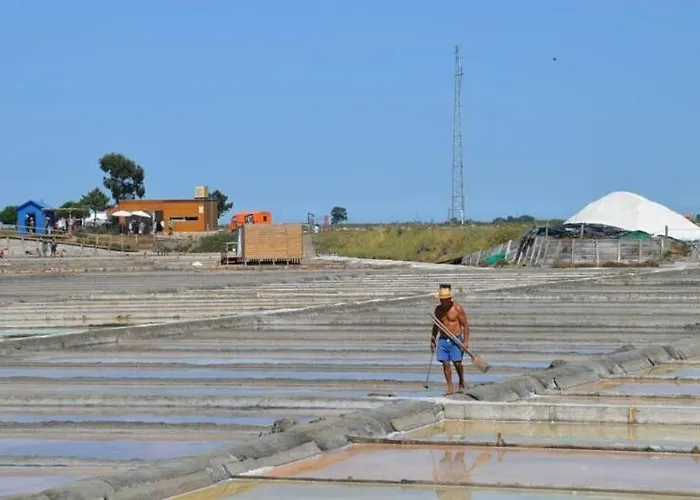 Paradise Property,ideal Ferias Ou Lua De Mel * Albergaria-a-Velha