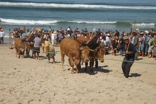 Paradise Property,ideal Ferias Ou Lua De Mel *