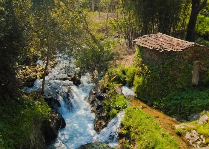 Hébergement de vacances Paradise Property,ideal Ferias Ou Lua De Mel *