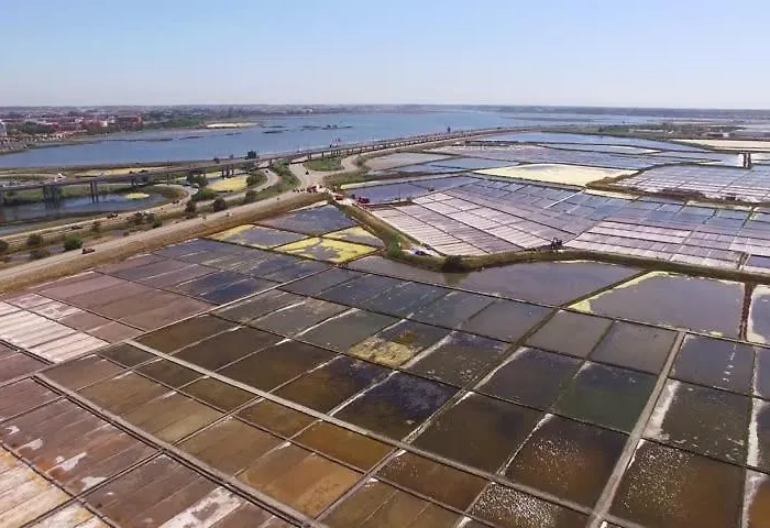 Paradise Property,ideal Ferias Ou Lua De Mel Hébergement de vacances