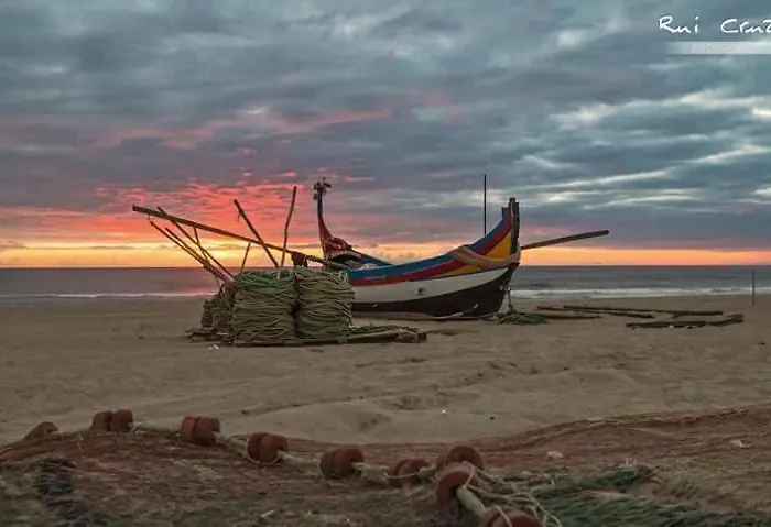 Paradise Property,ideal Ferias Ou Lua De Mel *